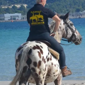 Buitenrit strand en bergen (evt. met overnachting op een ranch) Mallorca - Spanje - Afbeelding 4