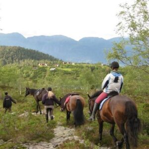 3-daagse Fjord Ride Weekend – Westkust - Noorwegen - Afbeelding 5