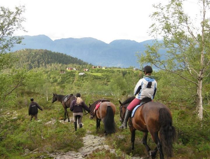 3-daagse Fjord Ride Weekend – Westkust - Noorwegen
