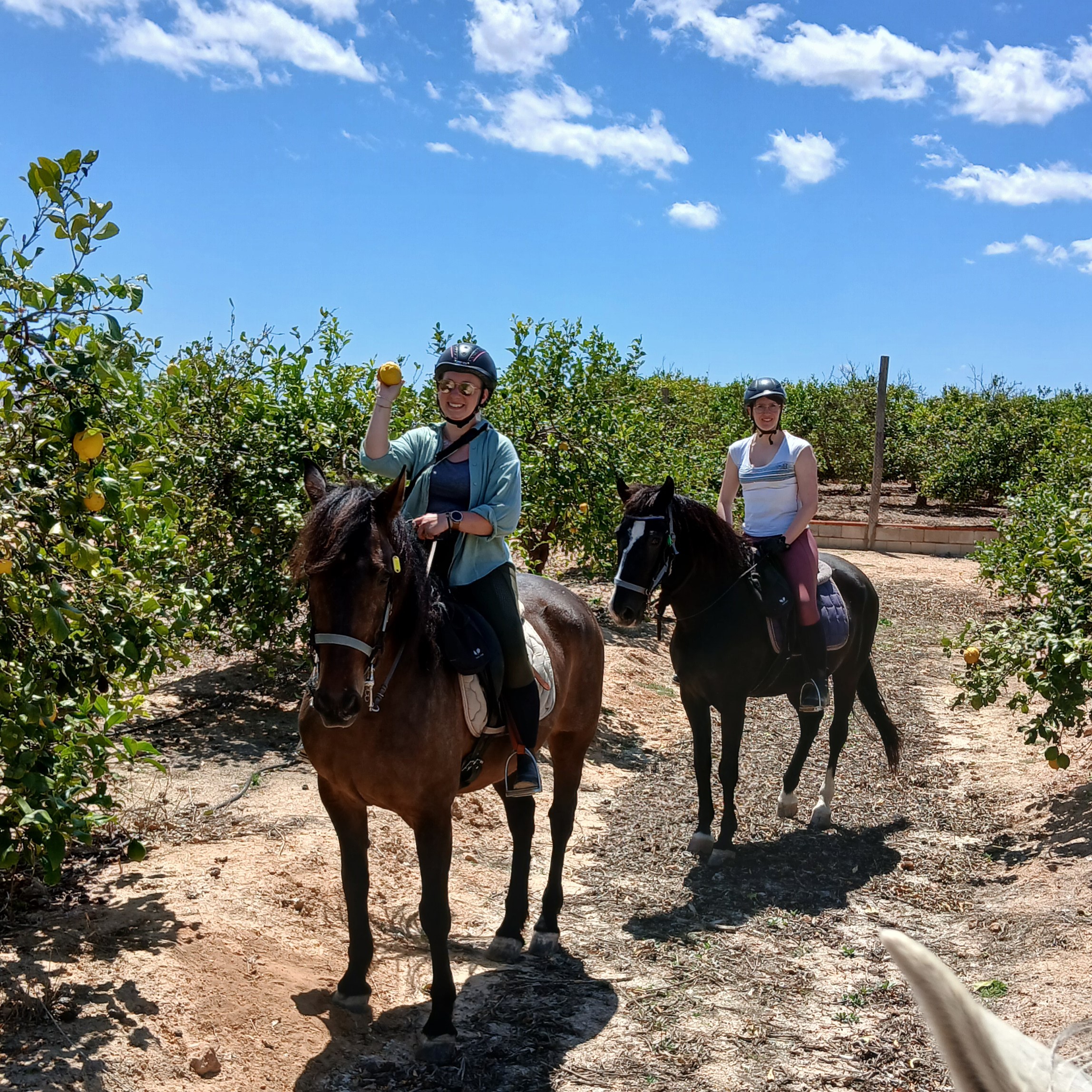 8-daagse paardrijvakantie & Tweedaagse Trail Valencia - Spanje - Afbeelding 1
