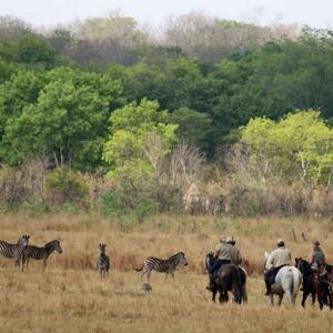 Buitenritten Afrikaanse bush Hwange - Zimbabwe - Afbeelding 24