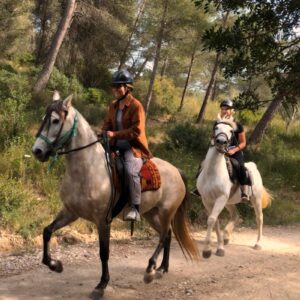 Buitenrit (evt. met overnachting op een ranch) Mallorca - Spanje - Afbeelding 2