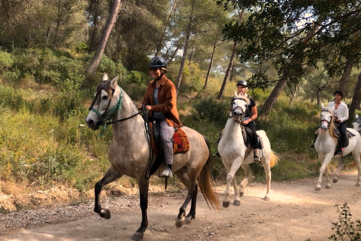 Buitenrit (evt. met overnachting op een ranch) Mallorca - Spanje - Afbeelding 2