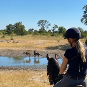 Buitenritten Afrikaanse bush Hwange - Zimbabwe - Afbeelding 14