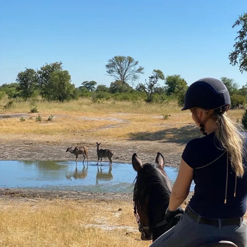 Buitenritten Afrikaanse bush Hwange - Zimbabwe - Afbeelding 14