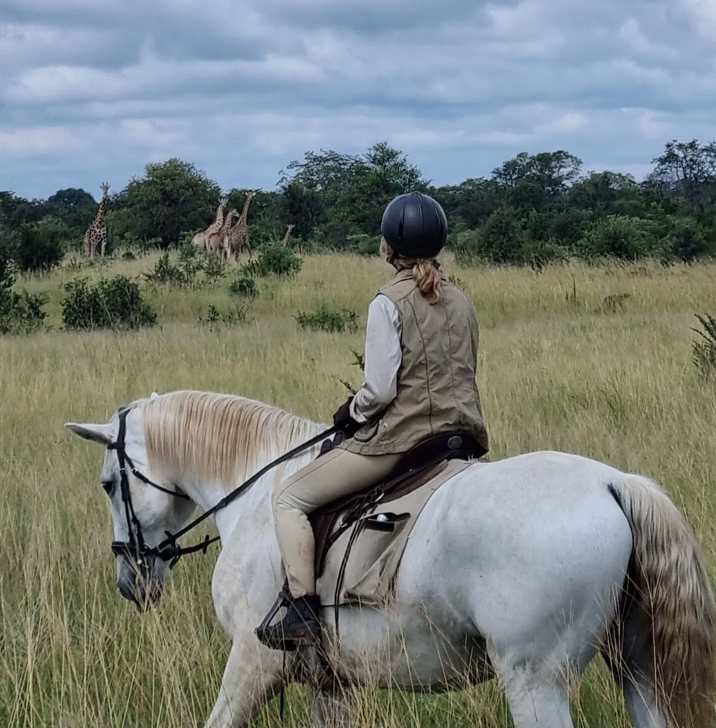 5-daagse Paardensafari Hwange - Zimbabwe