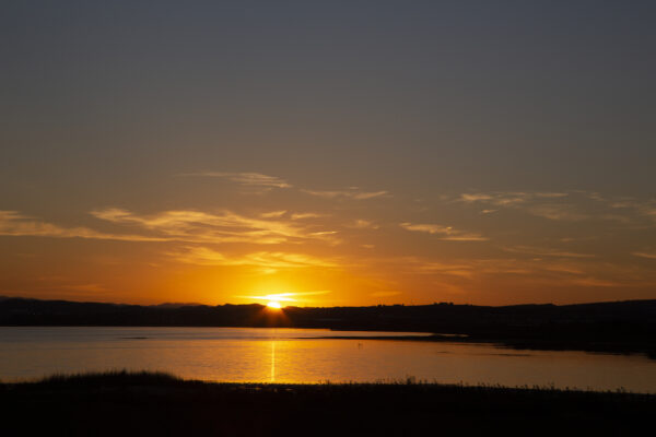 8-daagse paardrijvakantie: Lessen & Tochten Valencia - Spanje