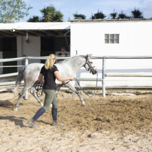 8-daagse paardrijvakantie: dagtochten natuurreservaat La Mata Valencia - Spanje - Afbeelding 13