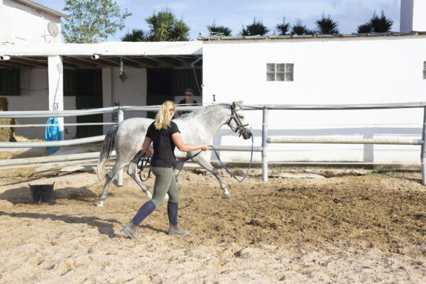 8-daagse paardrijvakantie: dagtochten natuurreservaat La Mata Valencia - Spanje