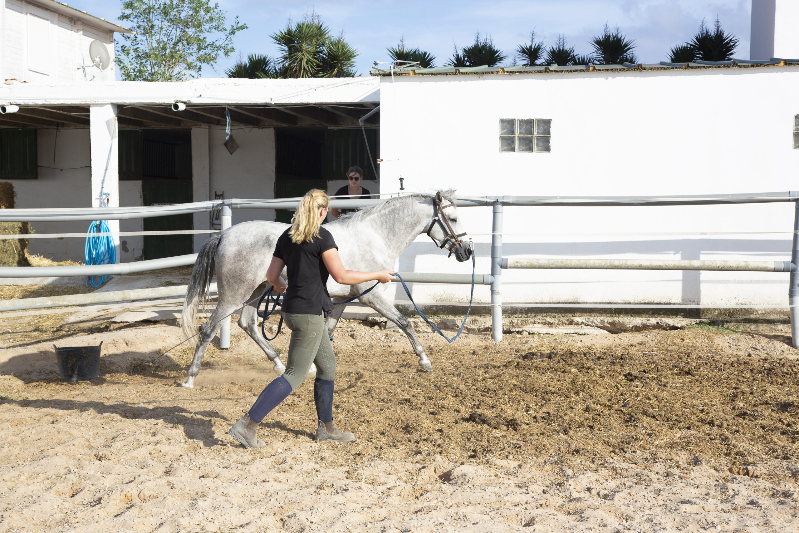 8-daagse paardrijvakantie: dagtochten natuurreservaat La Mata Valencia - Spanje - Afbeelding 13