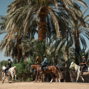 6-daagse Paardrijtocht Multi-avontuur Mini Break Caïro, Luxor en Rode Zee- Egypte - Afbeelding 11