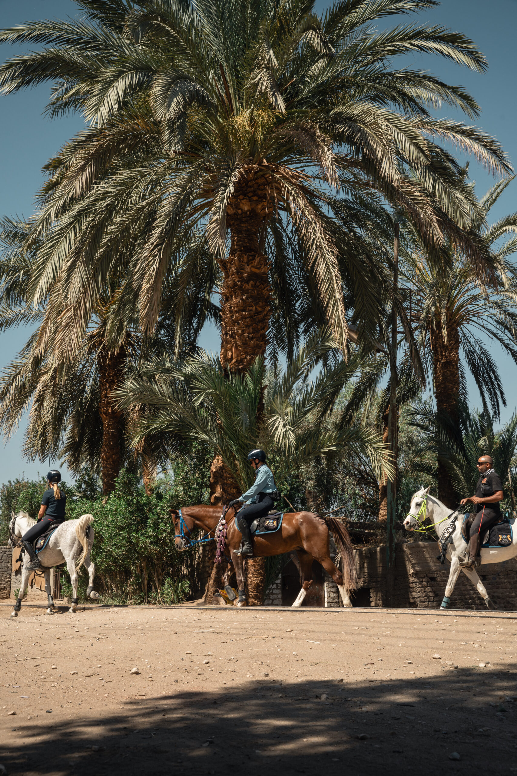 6-daagse Paardrijtocht Multi-avontuur Mini Break Caïro, Luxor en Rode Zee- Egypte - Afbeelding 11