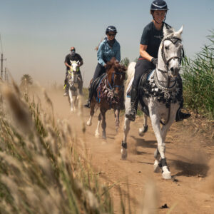 8-daagse Paardrijtocht Palmen, Piramides en Farao’s Luxor - Rode Zee - Caïro Egypte - Afbeelding 2