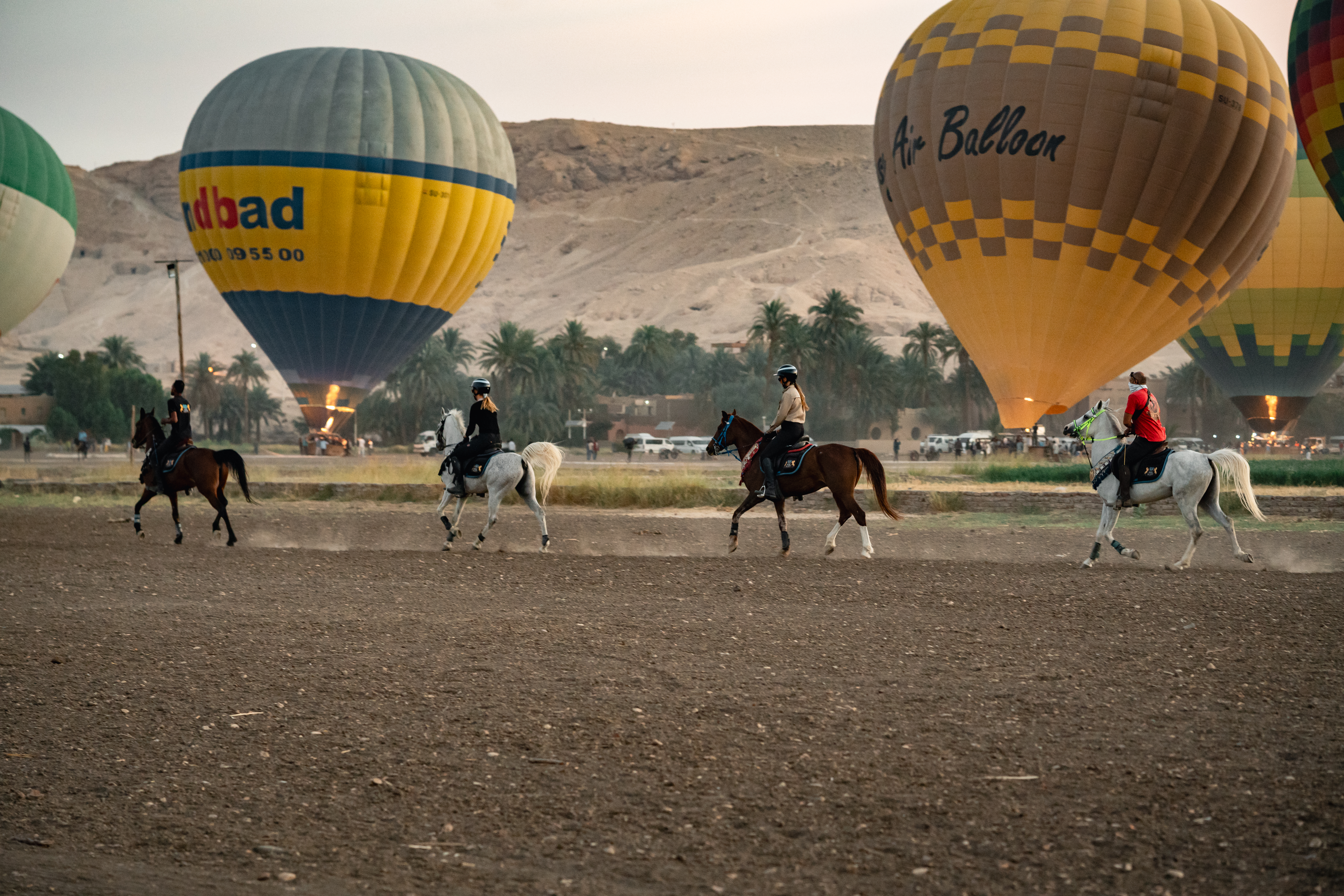 8-daagse Paardrijtocht Palmen, Piramides en Farao’s Luxor - Rode Zee - Caïro Egypte - Afbeelding 20