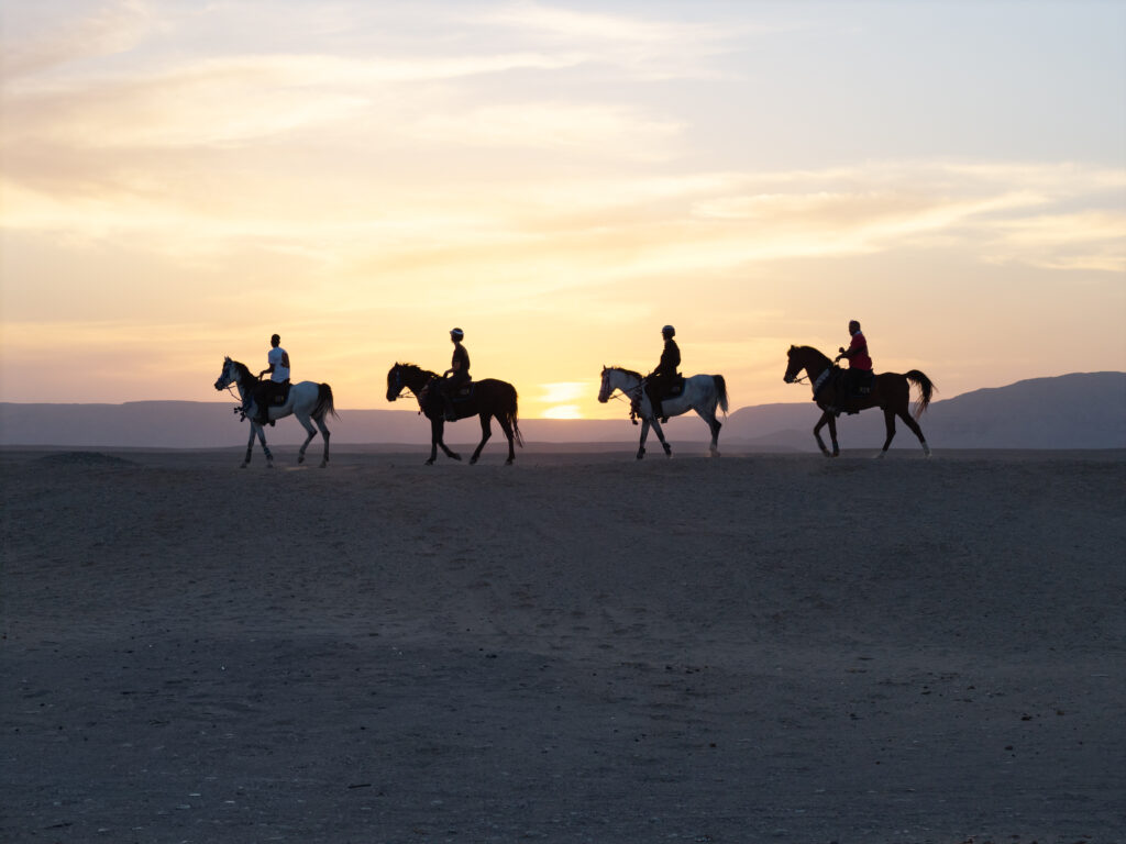 8-daagse Paardrijtocht Palmen, Piramides en Farao’s Luxor - Rode Zee - Caïro Egypte