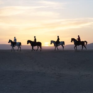 8-daagse Paardrijtocht Palmen, Piramides en Farao’s Luxor - Rode Zee - Caïro Egypte - Afbeelding 5