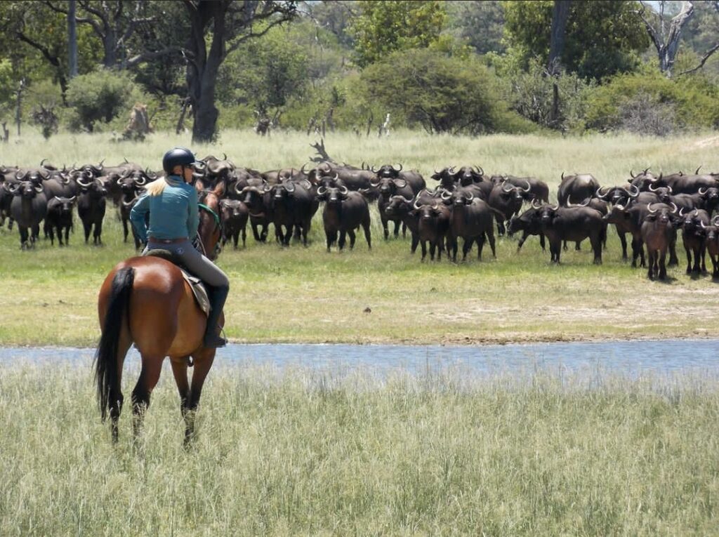 Vrijwilligersreis Hwange - Zimbabwe