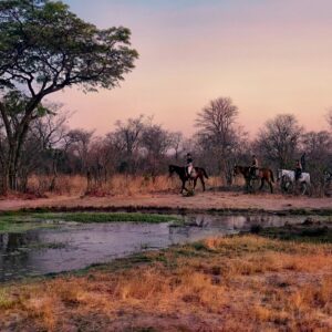 3-daagse Paardensafari Hwange - Zimbabwe - Afbeelding 11