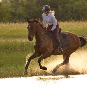 Vrijwilligersreis Hwange - Zimbabwe - Afbeelding 52