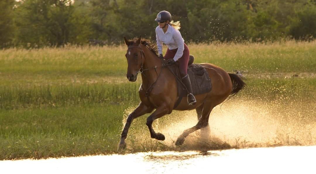 Vrijwilligersreis Hwange - Zimbabwe