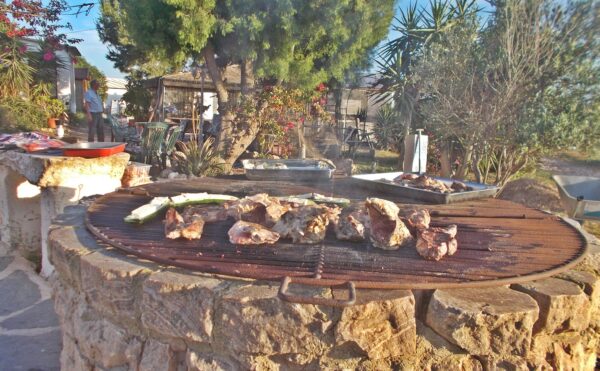 8-daagse paardrijvakantie: Lessen & Tochten Valencia - Spanje