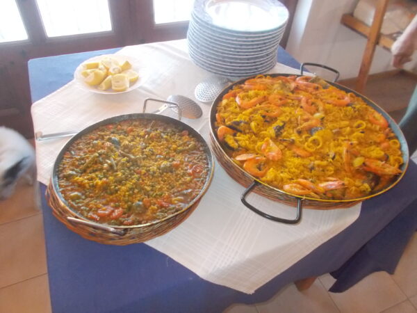 8-daagse paardrijvakantie: dagtochten natuurreservaat La Mata Valencia - Spanje