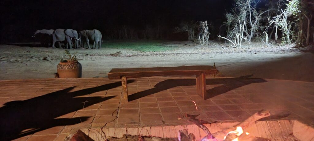 3-daagse Paardensafari Hwange - Zimbabwe