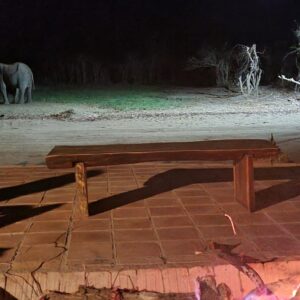 3-daagse Paardensafari Hwange - Zimbabwe - Afbeelding 13