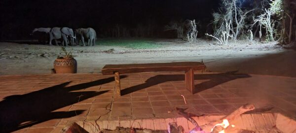 3-daagse Paardensafari Hwange - Zimbabwe