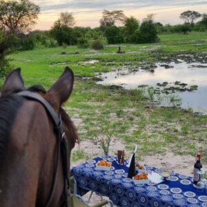 Buitenritten Afrikaanse bush Hwange - Zimbabwe - Afbeelding 15