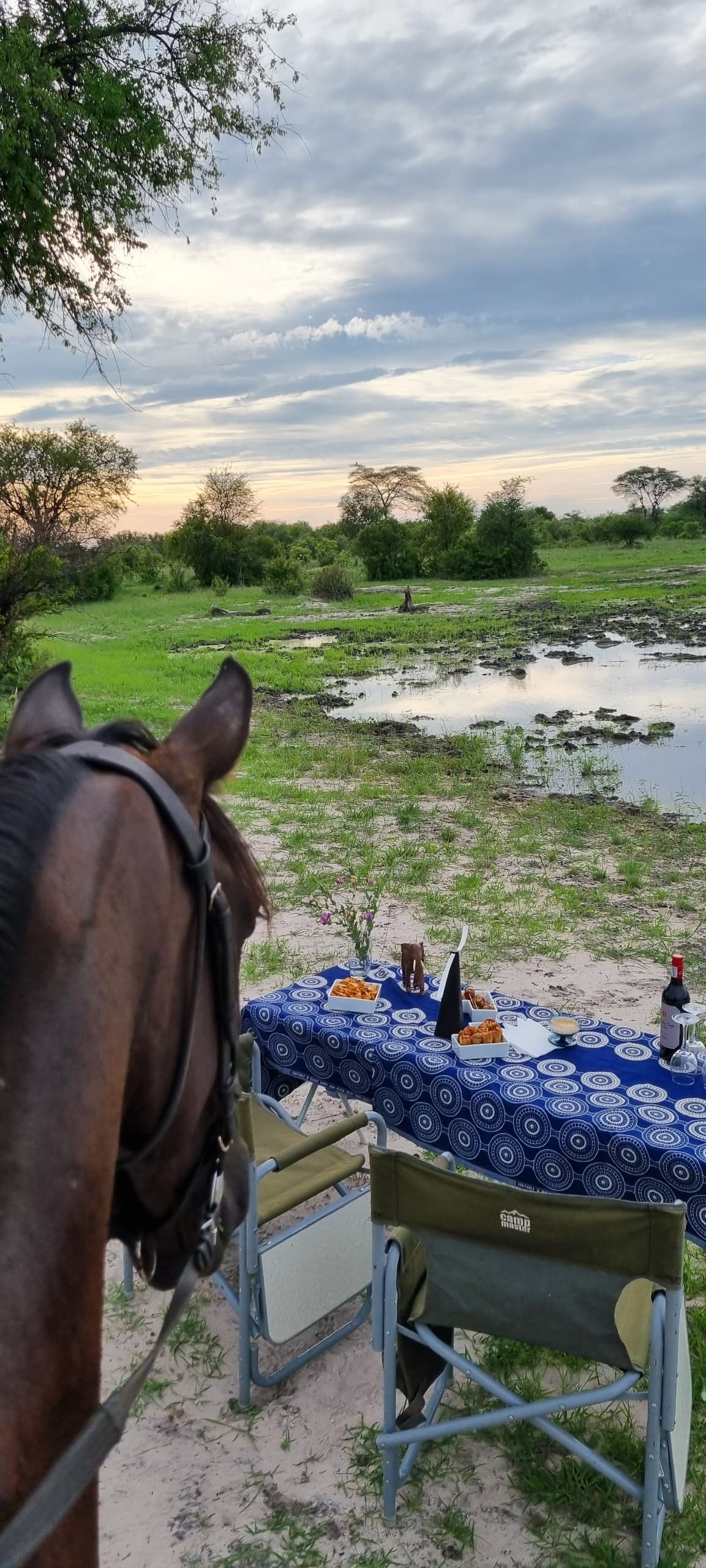 Buitenritten Afrikaanse bush Hwange - Zimbabwe - Afbeelding 15