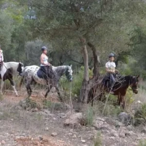 Buitenrit (evt. met overnachting op een ranch) Mallorca - Spanje - Afbeelding 3