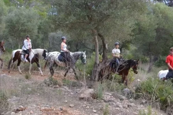 Buitenrit (evt. met overnachting op een ranch) Mallorca - Spanje