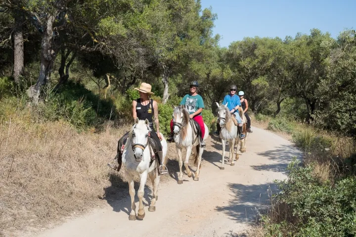 Privérit (evt. met overnachting op een ranch) Mallorca - Spanje - Afbeelding 1