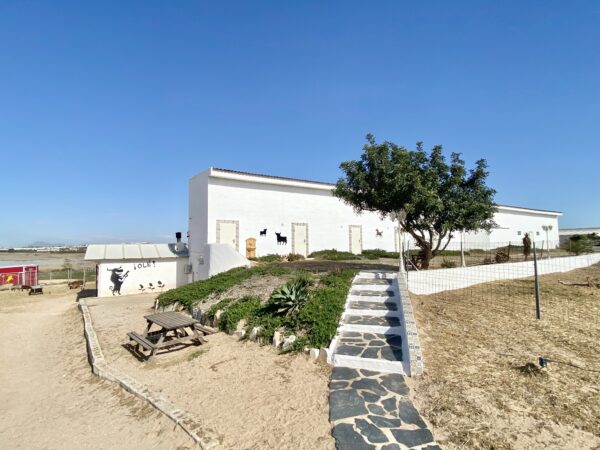 8-daagse paardrijvakantie: Lessen & Tochten Valencia - Spanje