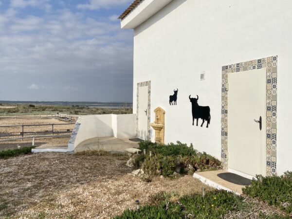 8-daagse paardrijvakantie: Lessen & Tochten Valencia - Spanje