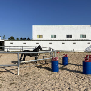 8-daagse paardrijvakantie: Lessen & Tochten Valencia - Spanje - Afbeelding 20
