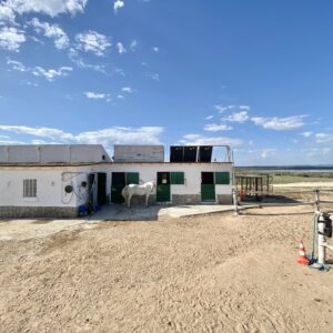 8-daagse paardrijvakantie: dagtochten natuurreservaat La Mata Valencia - Spanje - Afbeelding 16