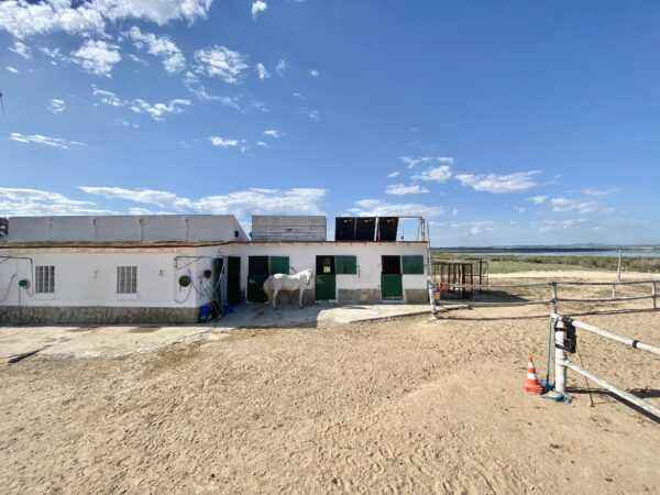 8-daagse paardrijvakantie: dagtochten natuurreservaat La Mata Valencia - Spanje