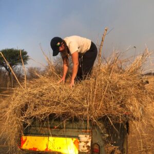 Vrijwilligersreis Hwange - Zimbabwe - Afbeelding 43