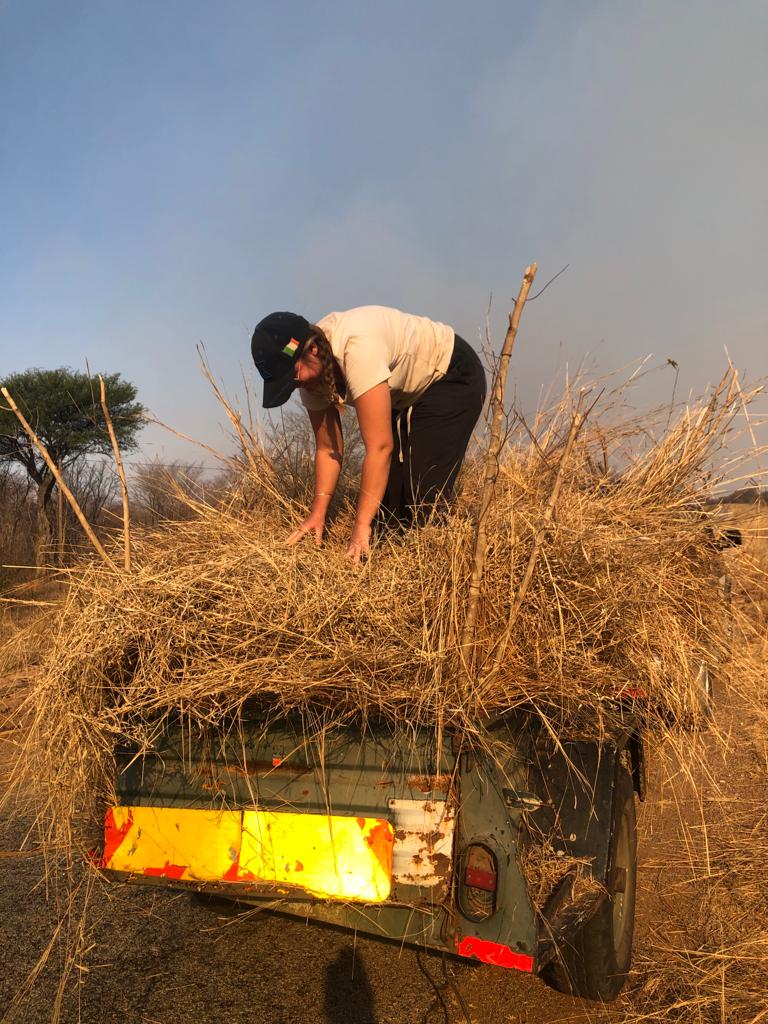 Vrijwilligersreis Hwange - Zimbabwe