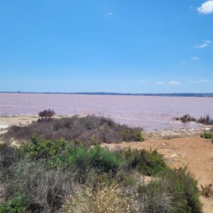 8-daagse Guardamar Trail: Ontdek de Vega Baja Valencia - Spanje - Afbeelding 5