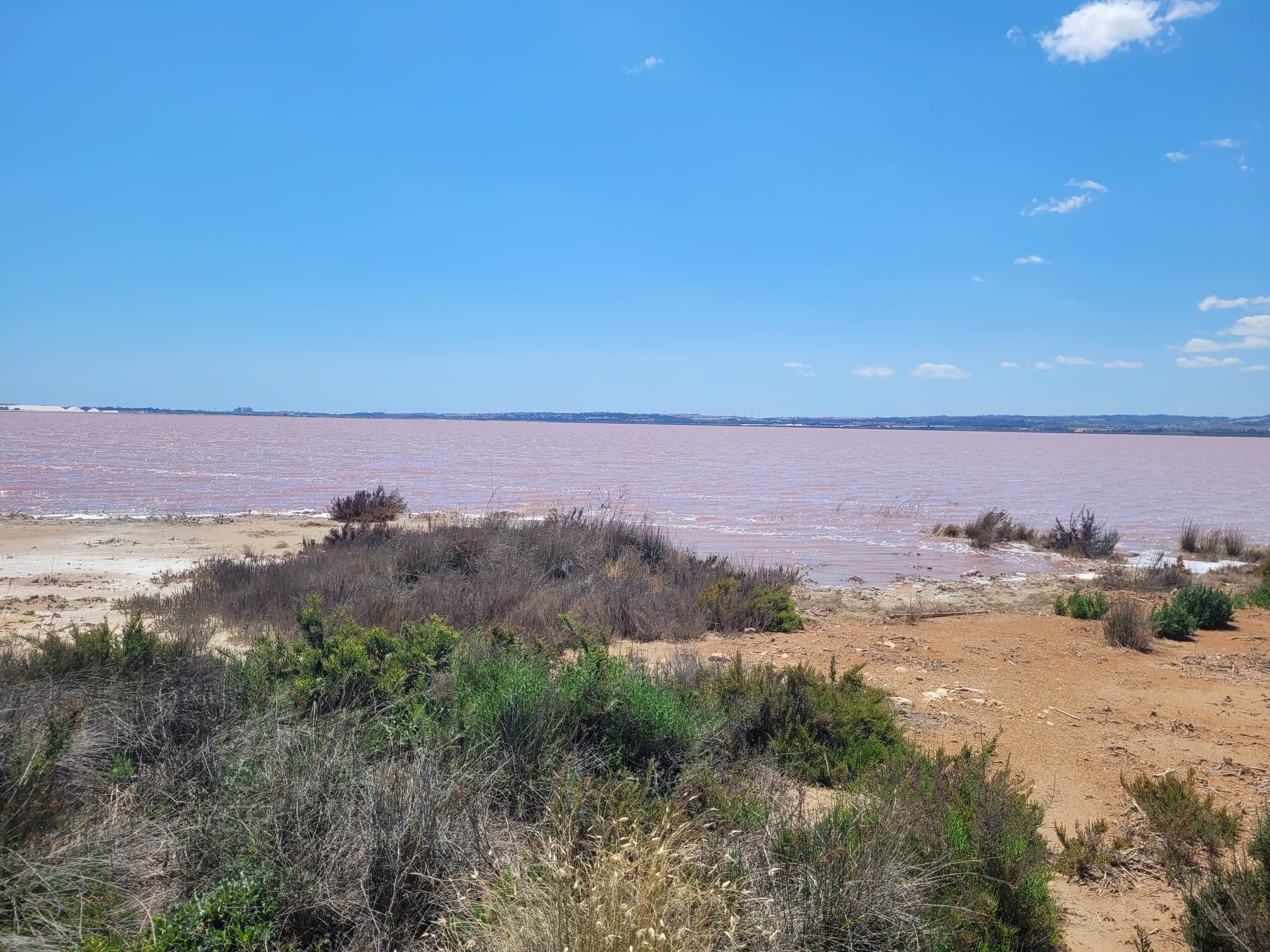 8-daagse Guardamar Trail: Ontdek de Vega Baja Valencia - Spanje - Afbeelding 5