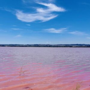 8-daagse Guardamar Trail: Ontdek de Vega Baja Valencia - Spanje - Afbeelding 3