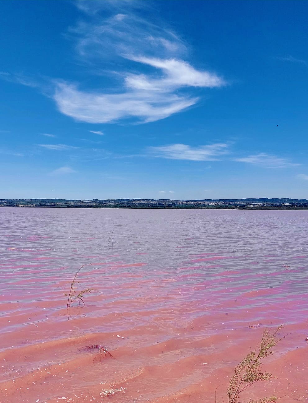 8-daagse Guardamar Trail: Ontdek de Vega Baja Valencia - Spanje