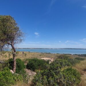 8-daagse paardrijvakantie & Tweedaagse Trail Valencia - Spanje - Afbeelding 3