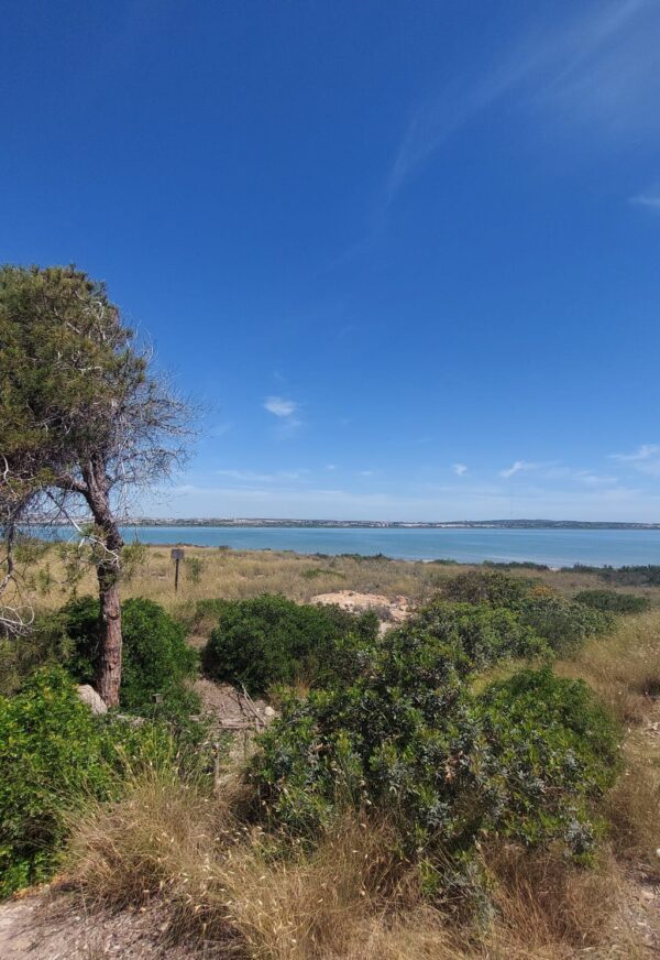 8-daagse paardrijvakantie & Tweedaagse Trail Valencia - Spanje