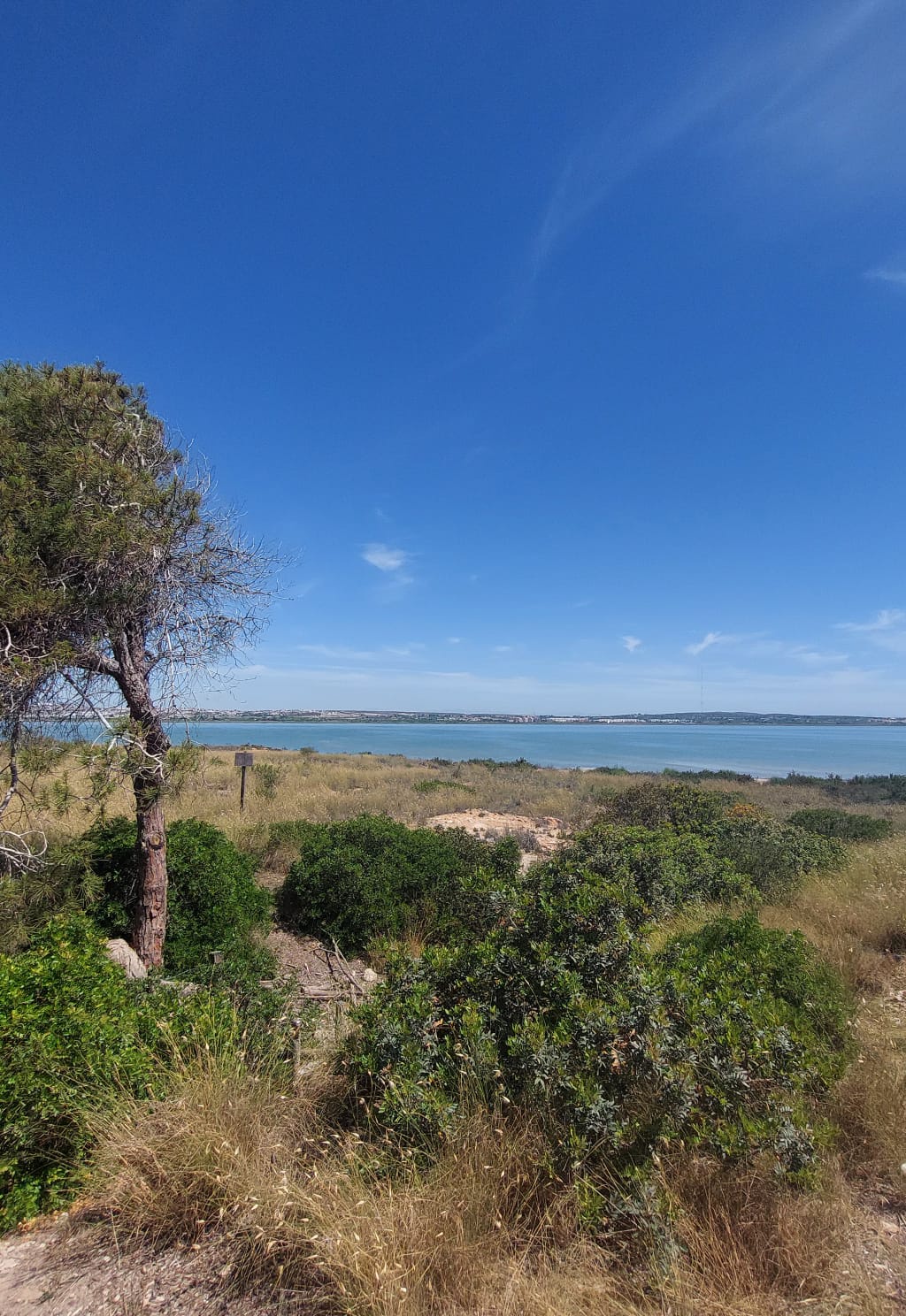 8-daagse paardrijvakantie & Tweedaagse Trail Valencia - Spanje - Afbeelding 3