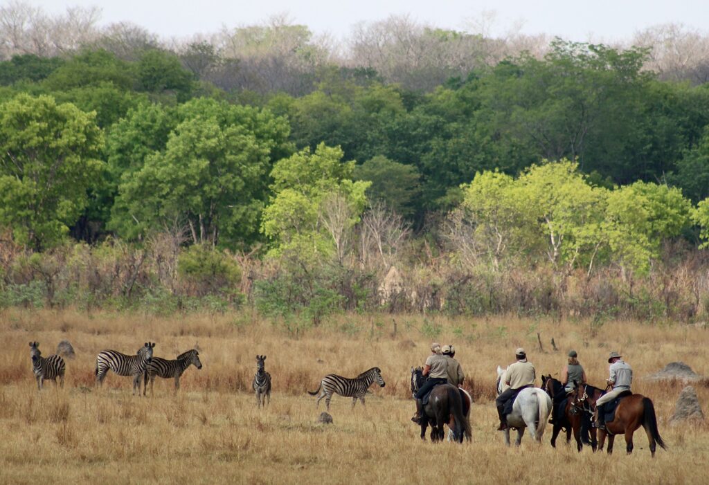 Buitenritten Afrikaanse bush Hwange - Zimbabwe