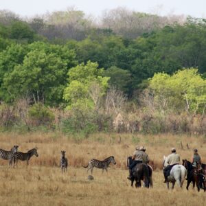 Buitenritten Afrikaanse bush Hwange - Zimbabwe - Afbeelding 3